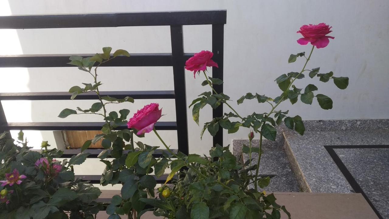 Mai Dalat Homestay Buitenkant foto